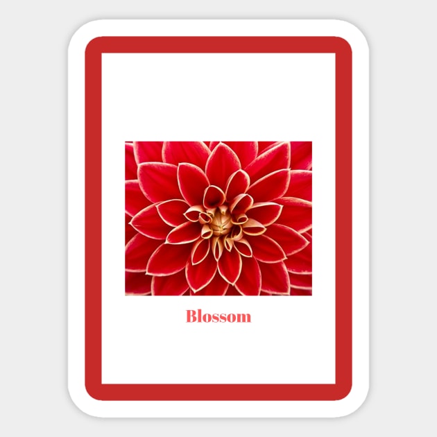 Blossom Sticker by Gnanadev